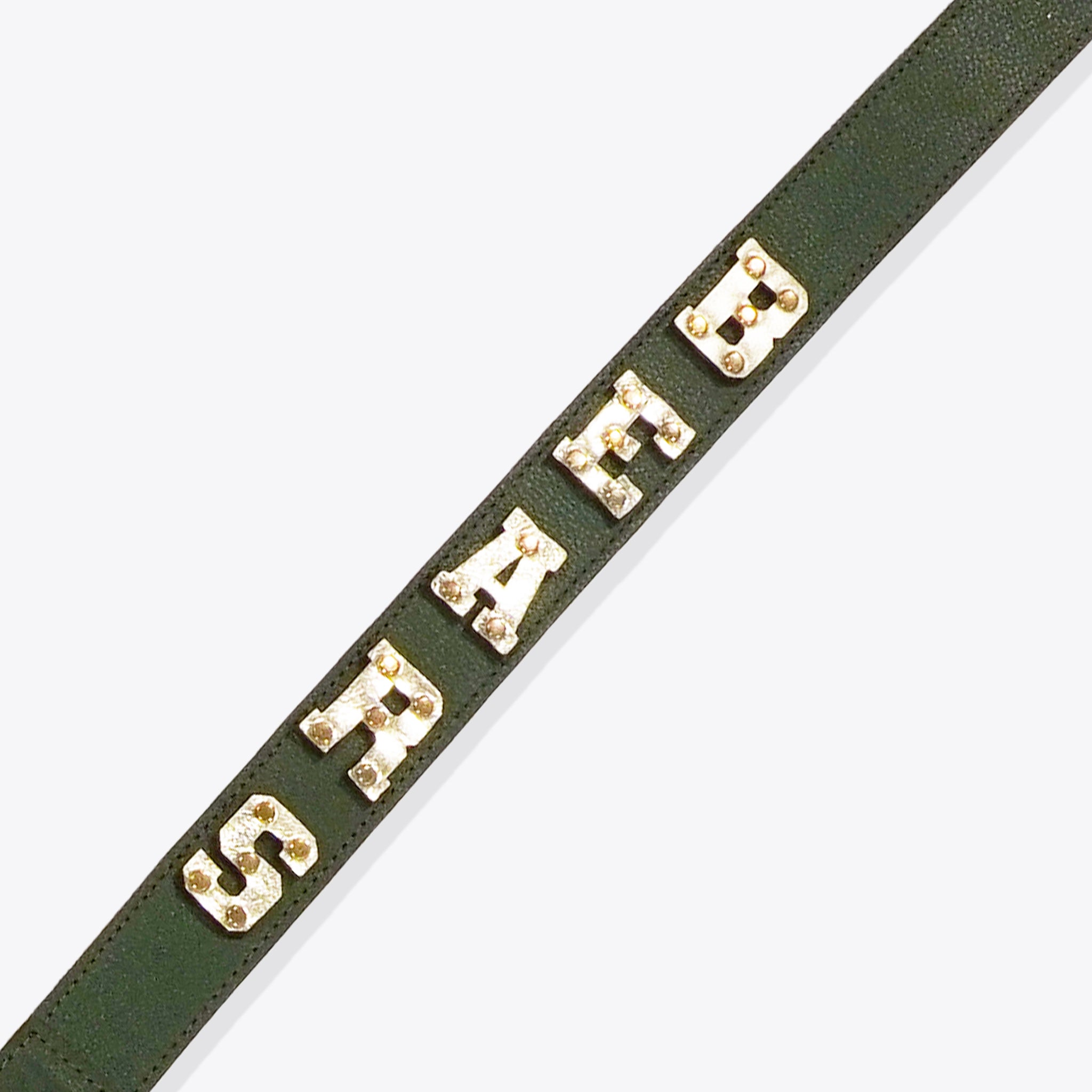 BEARS Spirit Strap Spirit Strap Hampton Road Designs