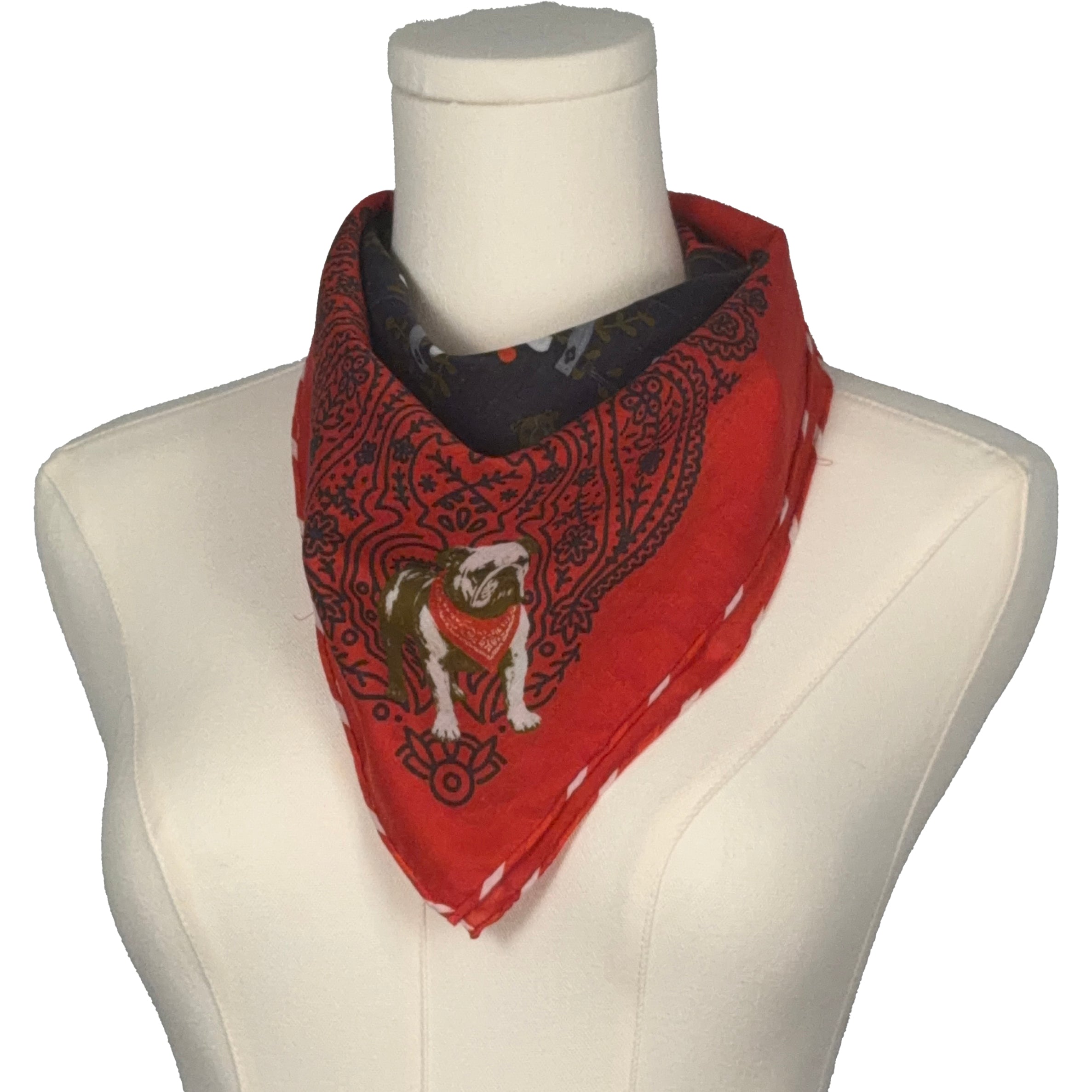 Bulldog in a Bandana & Scarf Ring