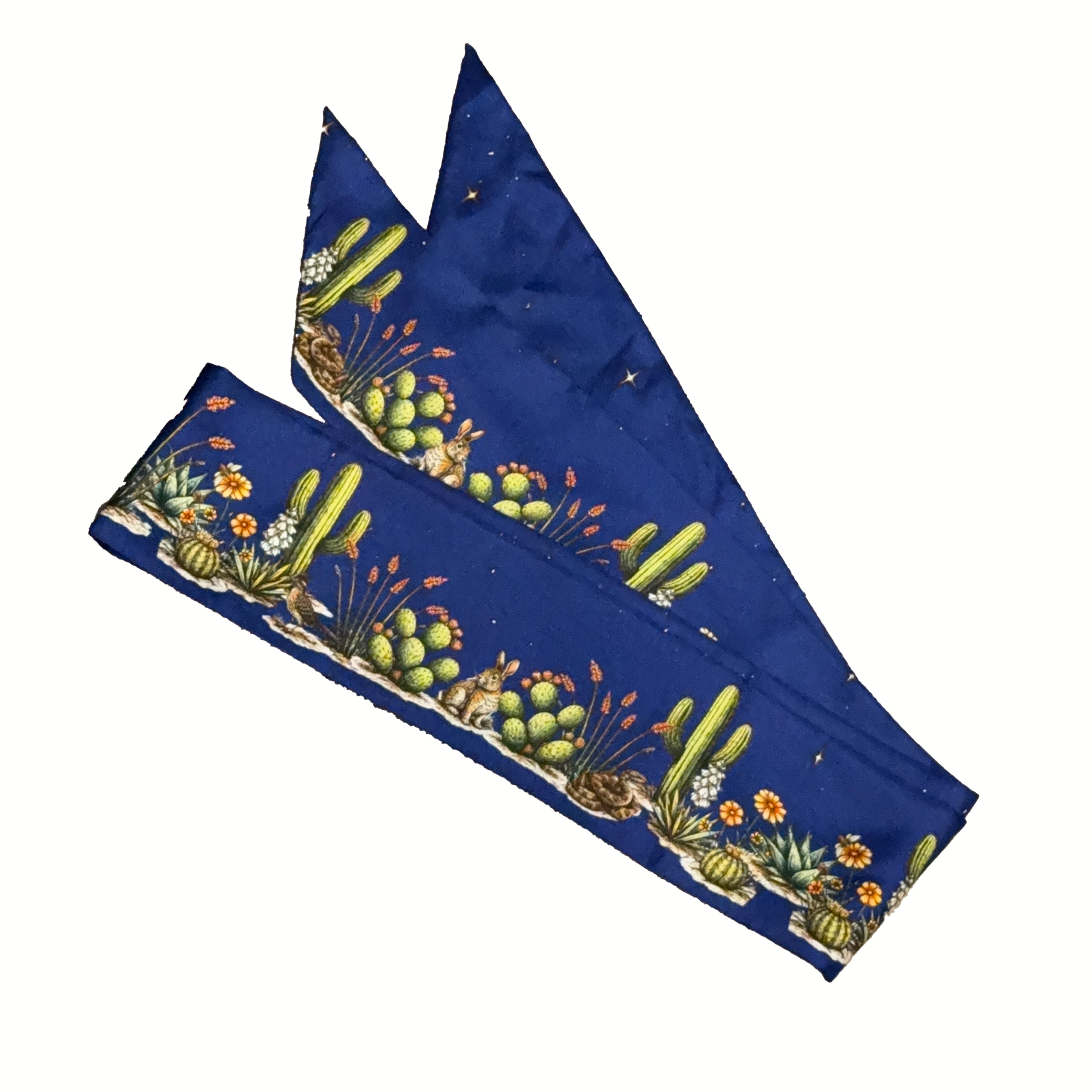 Sonoran Stars Maxi Twillionaire