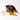 Bear Tracks Twillionaire & Scarf Ring Twillionaire Hampton Road Designs