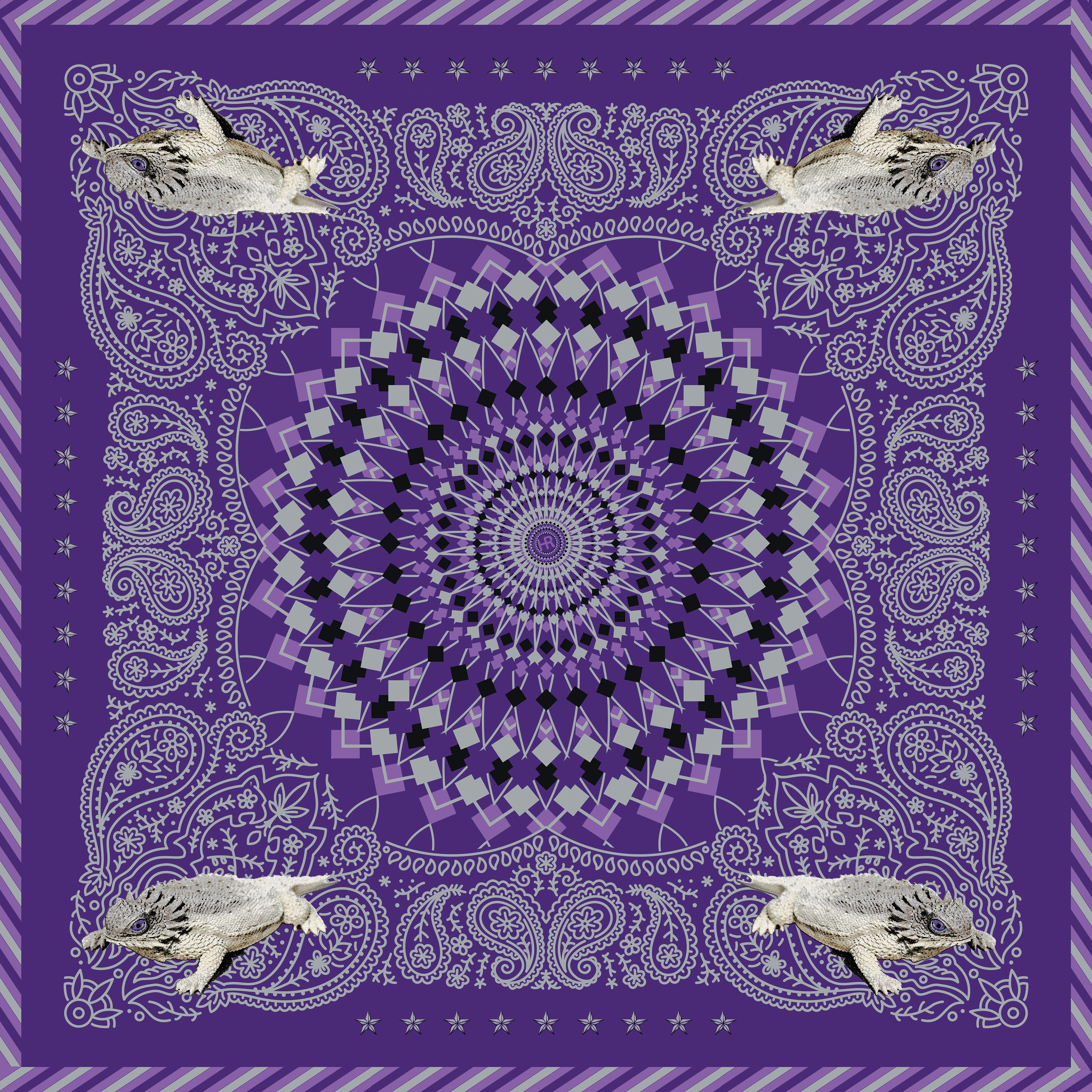 Hypnotoadie Bandana Merchandising Display (WS) Merchandising Display WS Hampton Road Designs