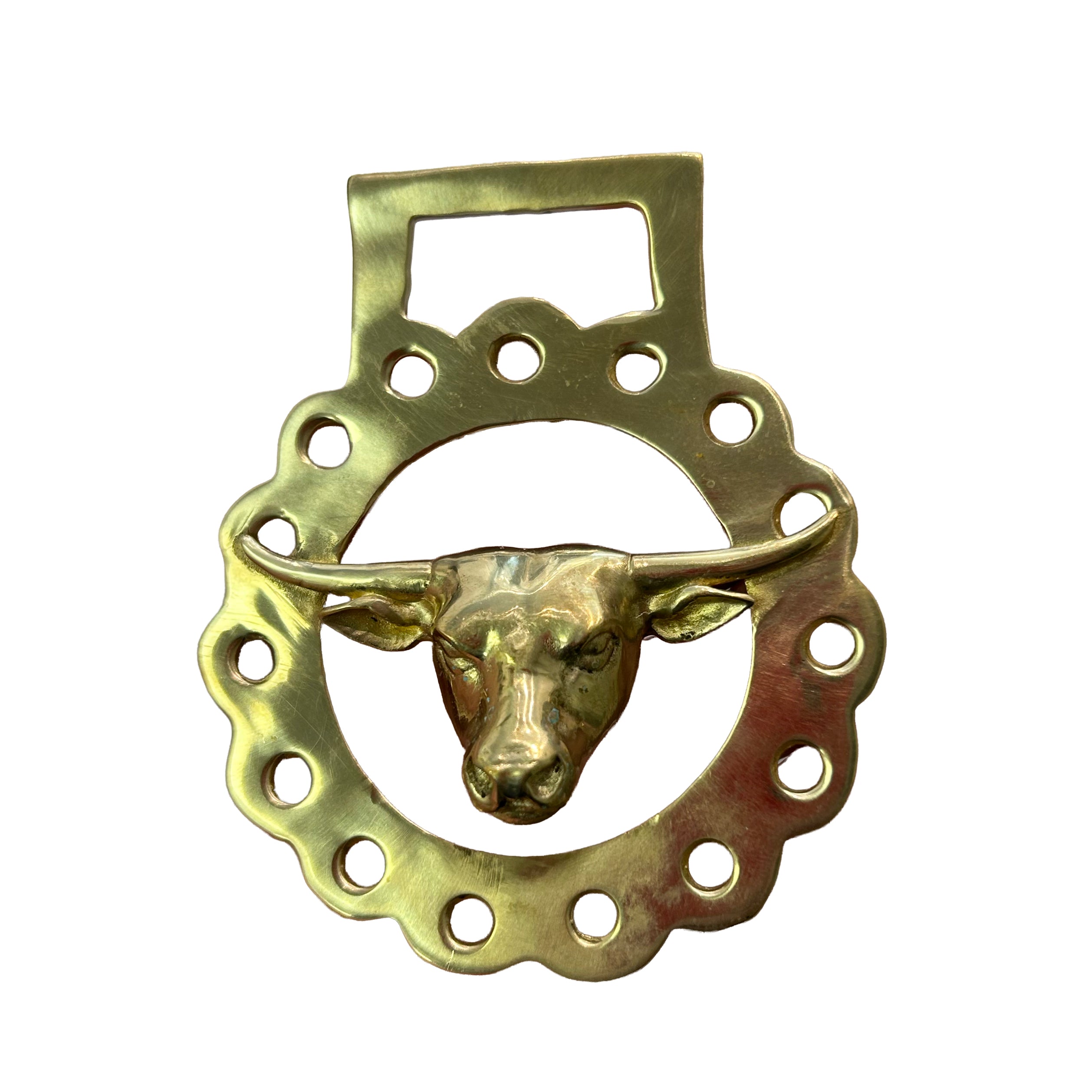 Longhorn Brass Medallion