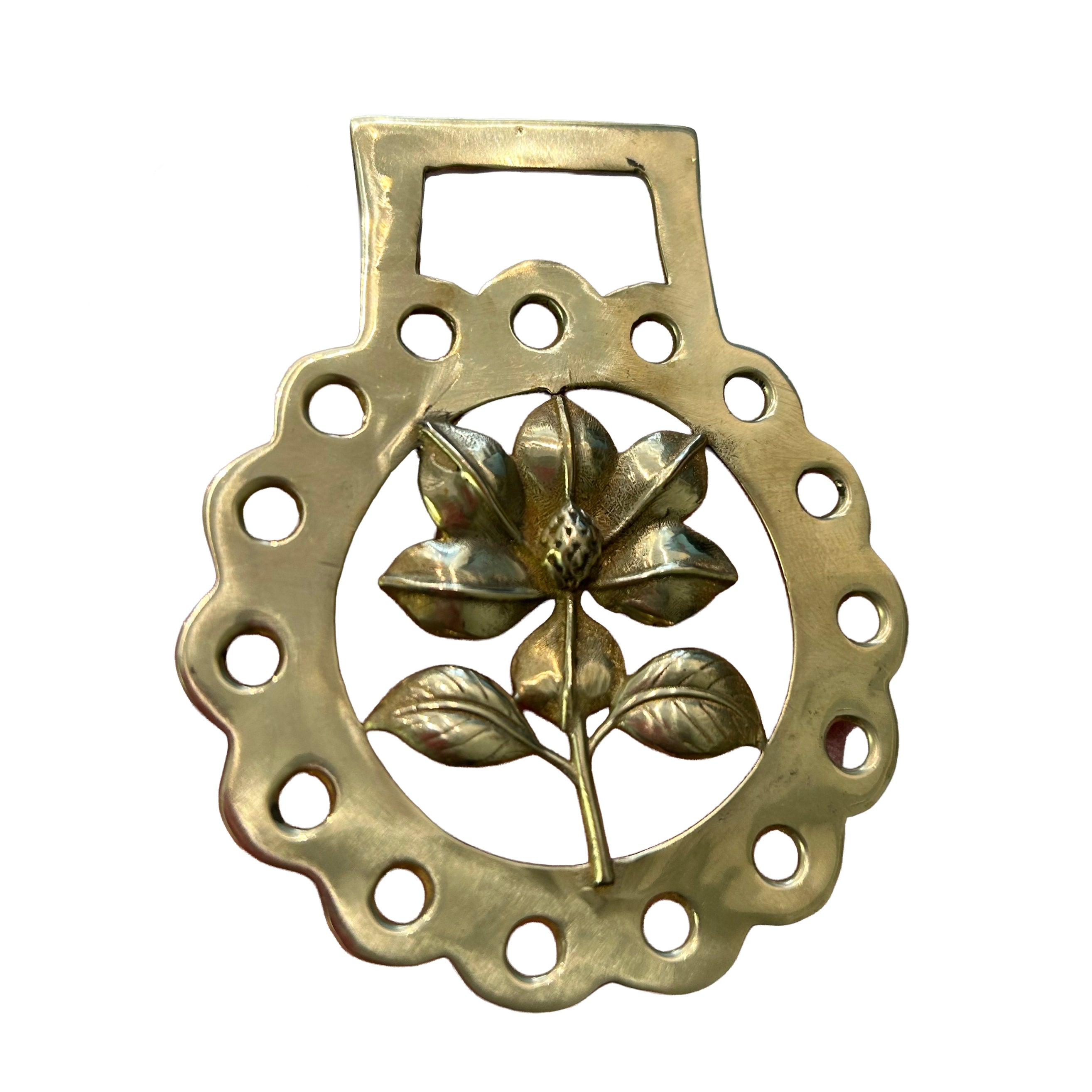Magnolia Brass Medallion