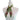 Nutcracker Twillionaire Set (WS) (WS) Twillionaire WS Hampton Road Designs
