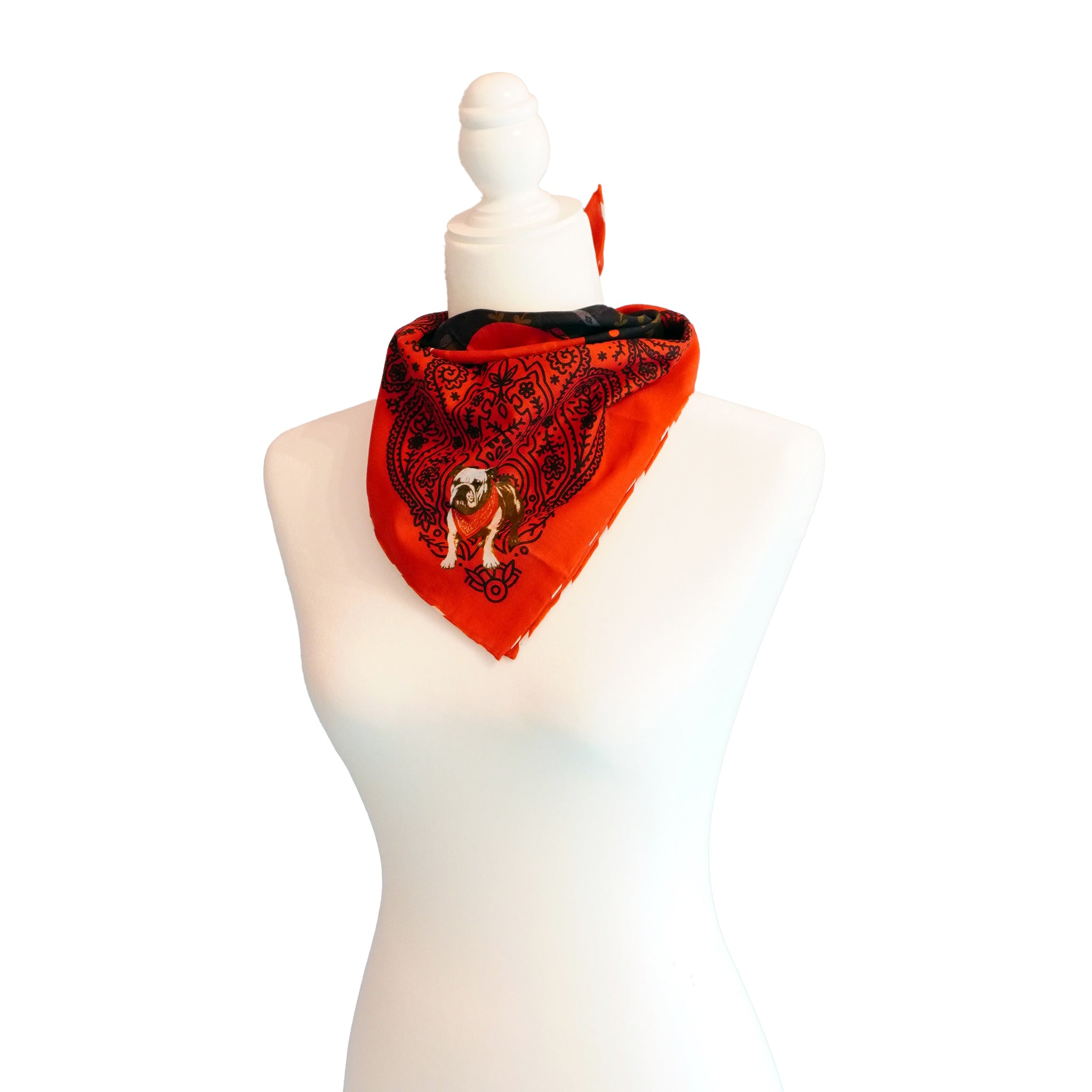 Bulldog in a Bandana Bandana Hampton Road Designs